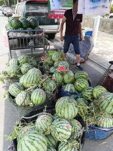 贵阳娱乐吃瓜事件真相是真的吗,真相揭秘，还原事件始末